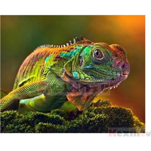 Kexinzu Full 5D DIY Square/Round Drill Diamond Painting "Animal lizard" 3d Diamond Embroidery Cross Stitch Decor Gift Ke14