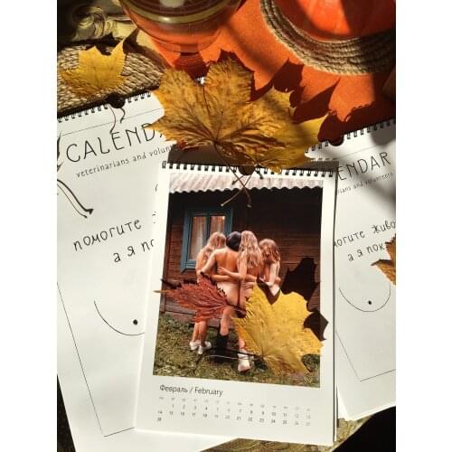 Veterinarians and volunteers Table Calendars