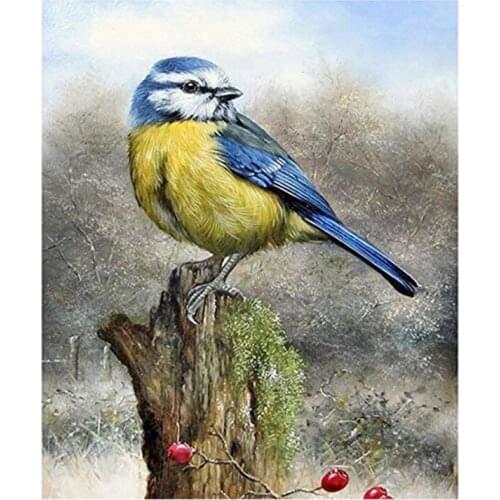 5D Diamond Painting Kits Bird Stake, Full Drill Art Animals DIY Rhinestone Embroidery Set Paint