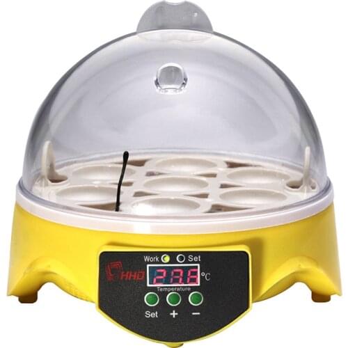 Egg Incubator Incubation Equipment British Regulatory 7 Pieces Eggs Multifunction Useful Chicken 7 Eggs