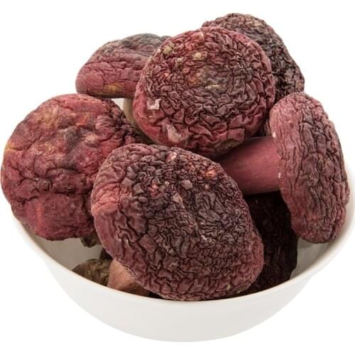 RED MUSHROOM RUSSULA HIGH GRADE DRIED