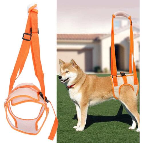 TOPINCN Briefs For Dogs