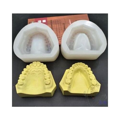 Dental oral materials Full mouth with dentition female mold Silicone rubber standard dentition female mold Make a mold