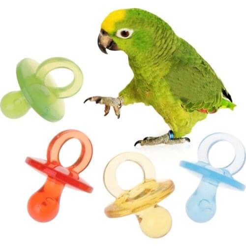 4pcs Parrot Toys Acrylic Nipple Bite Chew Colorful Birds Supplies DIY Accessory for bird toy