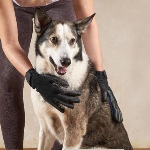 ISHOWTIENDA Dog Care Products