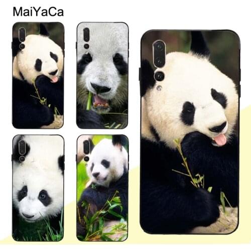 MaiYaCa Panda Bears Case For Huawei P30 Pro P40 P10 P20 Lite Mate 20 30 10 Lite P Smart 2019 Z