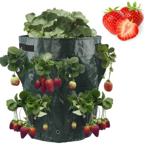 Multi-Mouth Grow Bag 5/7/10 Gallons Strawberry Tomato Planting Bags Reusable Gardens Balconies Flower Herb Planter