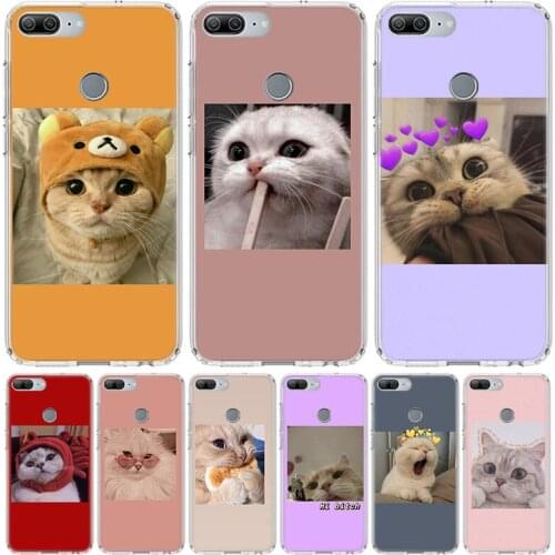 Super Lovely Cat Kitten Cute Funny Phone Case For Huawei Y5 Y6 Y7 Y9 Honor 10 Lite 9 9X 8A Pro 8S Casing 8X 7A 7X 20 10i V20 Cov