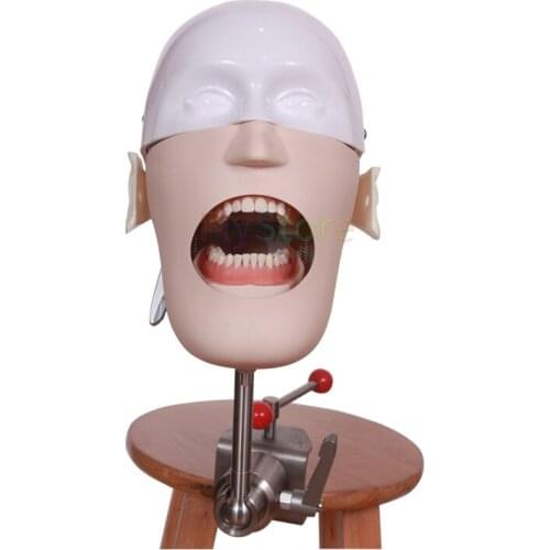 1pcs Dental manikins Phantom Head Stainless Steel Head Simple simulation head preparation for Dental teaching