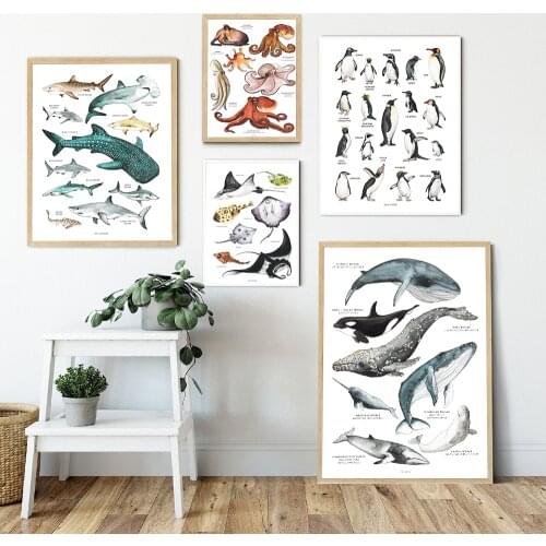 Child Poster Rays Octopus Whale Shark Marine Animal Nursery Canvas Painting Wall Art Print Education Picture Baby Kid Room Decor
