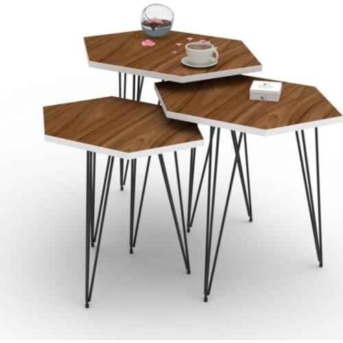 Modern Signage Larose Zigon Coffee table Mdfbyz 1li 50*35*35 coffe table