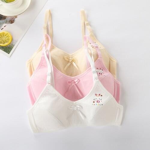 Girls Underwear Developmental Period, Small Vest for Big Girls school Students, Cotton 10-13 Years Old, Children Girls Bras