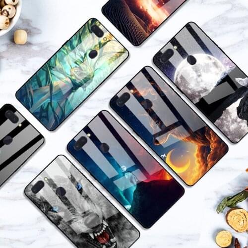 Meaford Oppo R15 Phone Cases