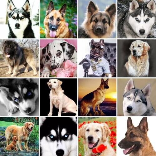 40/45/50/55/60/65 diamond painting 5D Full Square embroidery mosaic Cross Stitch animal dog Shiba Inu DIY home Decoration gift