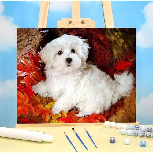 Dog Flower Animal Painting By Numbers Complete Kit Oil Paints 40*50 Canvas Painting Handmade For Wholesale