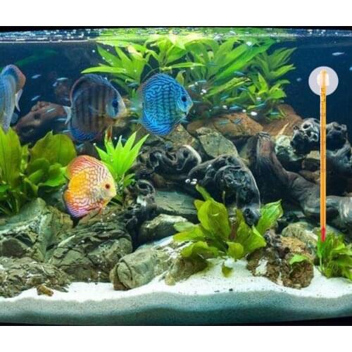 Aquarium Glass Thermometer With Sucker Fish Tank Reptile Box Accessory Supplies