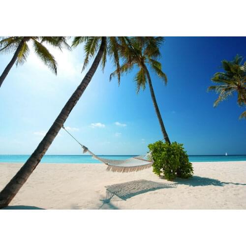Maldives Tropical Paradise Beach Scene Art Film Print Silk Poster Home Wall Decor 24x36inch