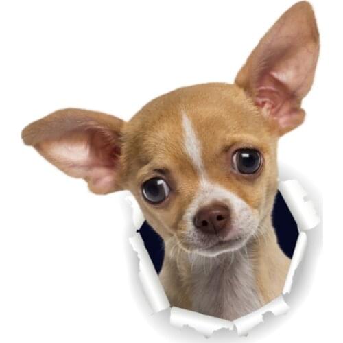 Three Ratels 3D Chihuahuas Dog Stickers Super Staffie decal on Wall Fridge Toilet car bike
