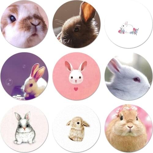 58mm Cute animal rabbit Icons Pins Badge Decoration Brooches Metal Badges For Clothes Backpack Decoration