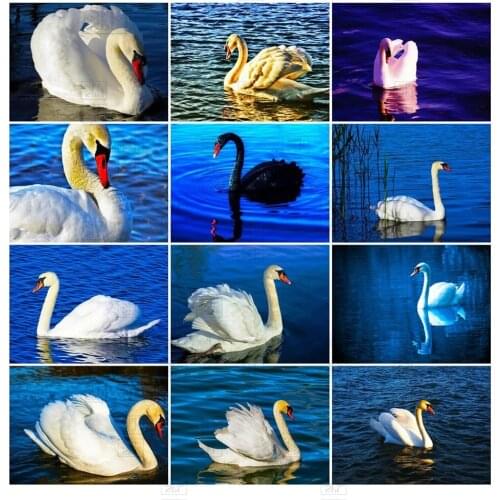 Diamond Mosaic White Black Swan Diamond Painting Embroidery Animal Cross Stitch Kit Picture Rhinestones Handicrafts Gift Decor