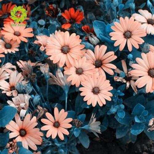 OSH FULL Mosaic Pattern 5D DIY Diamond art Embroidery pink flowers home decoration Flower diamond painting cross stitch gift