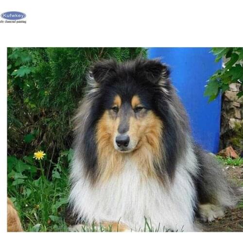 Diy diamond embroidery collie cute pet dog diamond painting Cross Stitch 5D Full square Drill rhinestone embroidery Mosaic New