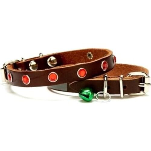Petzanya Collars For Cats