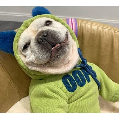 Fashion Dog Hoodie French Bulldog Fat Dog Clothes Medium Dogs Costume Lucky Dogs Puppy Outfits Ropa De Perro Pug Pet Clothes