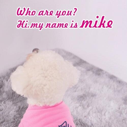 Dog Breathable Cute Bear Printed Cartoon Vest Puppy Kitten Vest Pet Clothes Sleveless Pet Clothes for Small And Medium-sized Dog