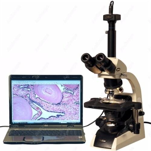 Infinity Plan Microscope--AmScope Supplies 40X-2500X Infinity Plan Trinocular Biological Microscope w 14MP Digital Camera