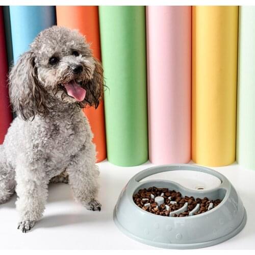 Animal Pet Products Dog Ration Bowl Slow Feeder Cats Doggie Dishes Pet Food Cat Bowl Anti Glouton for Medium Dogs Large Breeds