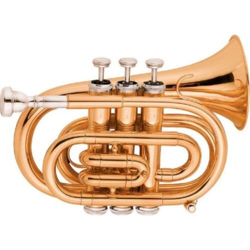 Gold lacquer Pocket Trumpet Tone Bb