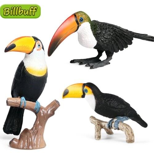 Simulation Bird Animals Figures Lifelike Toucan Parrot Action Model Figures Collection Models Educational toys for children Gift