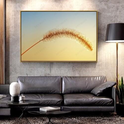 Artcozy Oil Canvas Painting grass_seeds_macro_morning_dew_sunshine- For Home Decoration Wall Art