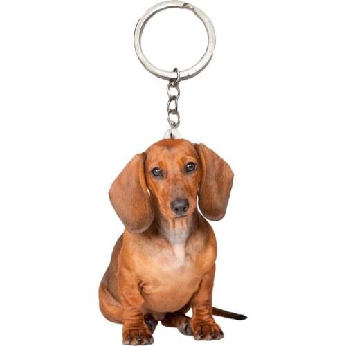 Big Ear Dog Acrylic Keyring Animal Sit Dogs Stainless Steel Keychain Men Car Key Chain Ring Gift Gifts for Women Keyring