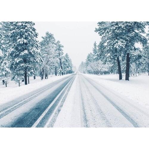 Snow Tree Road Winter Photo Backdrop Computer Printed Fond Photography Background for Children Baby Portrait Photocall Props