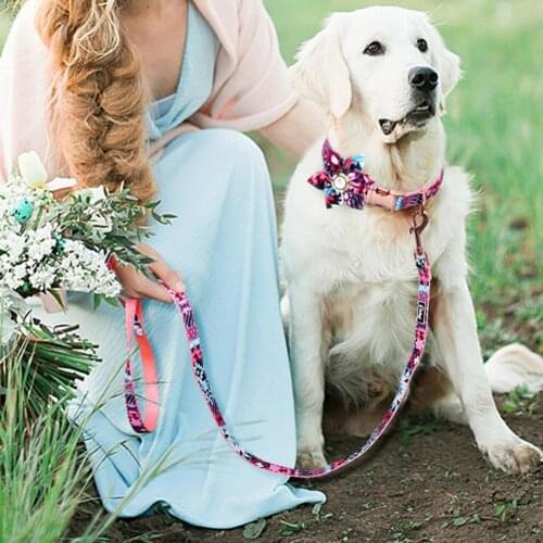 150cm Good Quality Dog Traction Rope Nylon Pet Leash Skin-friendly for Hiking