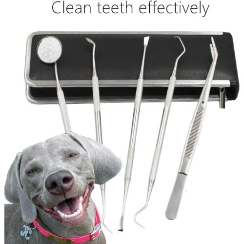 Pet Tooth Cleaning Tool Dog Cat Tartar Removal Stone Tooth Scraper Animal Tooth Care Tool Pet Grooming And Washing Supplies