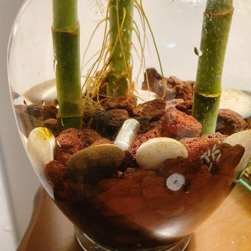 Aquarium capsule fertilizer for aquatic plants 25 capsules