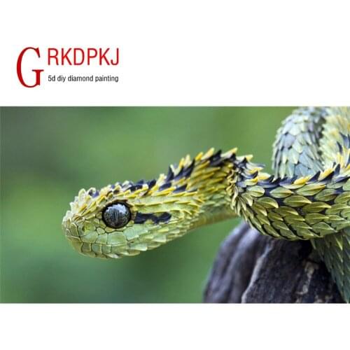 GRKDPKJ 5d diamond painting full drill square diamond embroidery Cross stitch pictures of rhinestones Horrible snake show drill