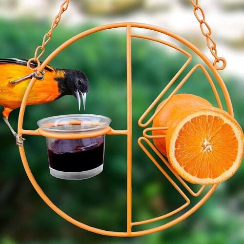 Oriole Bird Feeder Hanging Metal Hummingbird Feeder Clementine Detached Bowl Design Orange Fruit Feeder Grape Jelly Container