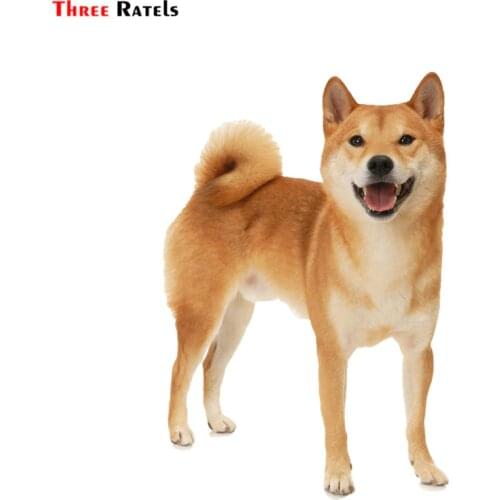 Three ratels FTC-709# pvc Akita dog window wall bedroom auto car sticker decal