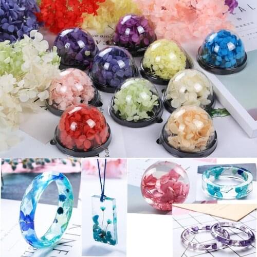 Colored flower Everlasting flower Dried Flowers Natural DIY Materials Special Flowers filling for DIY resin Pendant jewelry