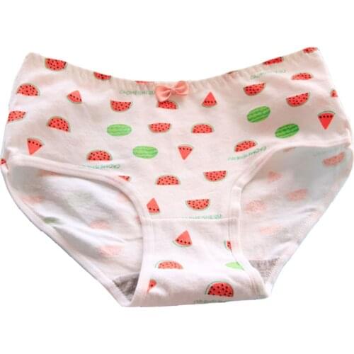 New Women Panties Cotton Underwear Fruit Patter Women Briefs Sexy Lingerie Tanga Thong Transparent Interior Girls CuteUnderwear