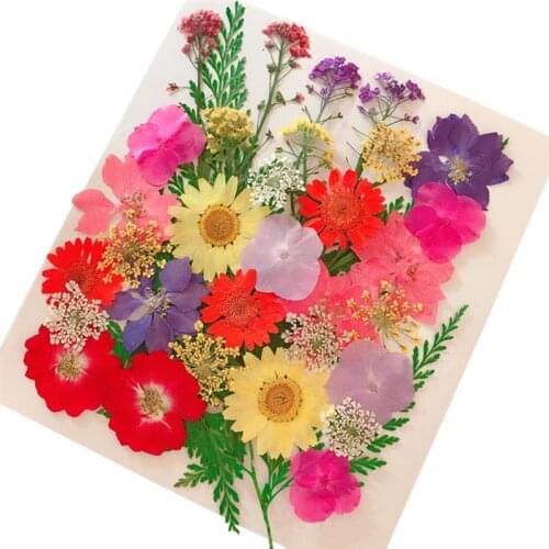 1 Pack Pressed Flower DIY Creative Handmade Craft Flower Dried Flower for Face and Nail Makeup Small Dried Flowers for Girls