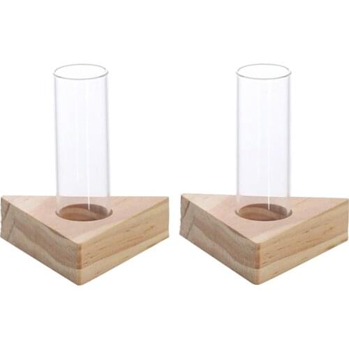 Glass Double Test Tube Vase In Wooden Stand Flower Pots For Hydroponic Plant