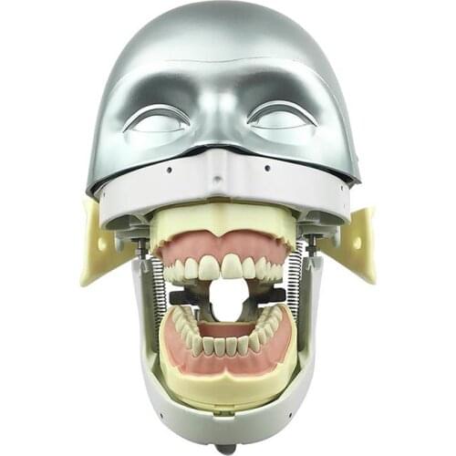 Dental Simulation Head Model Phantom Head Sennior Dental Training Model Dental Implant Model Dentistry Manikins Phantom
