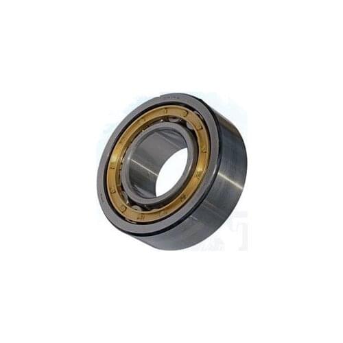 Gcr15 NU320 EM or NU320 ECM (100x215x47mm)Brass Cage Cylindrical Roller Bearings ABEC-1,P0