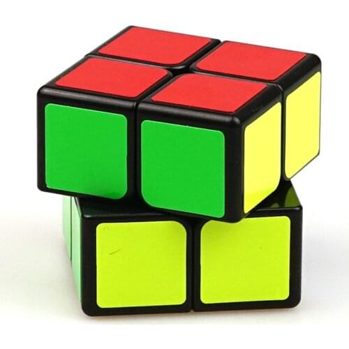 Shengshou Legend 2x2 Magic Cube Cube Puzzle Competition Challenge cubo magico Gifts Educational Toy for Children - Matte sticker