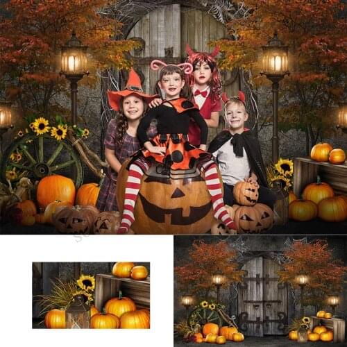 Birthday Halloween Photo Backdrop Kids Baby Photography Props Fall Maple Pumpkin Wood Door Background Decor Child Portrait Shoot